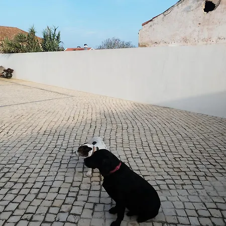 Сasa de vacaciones Janas, Good Vibes